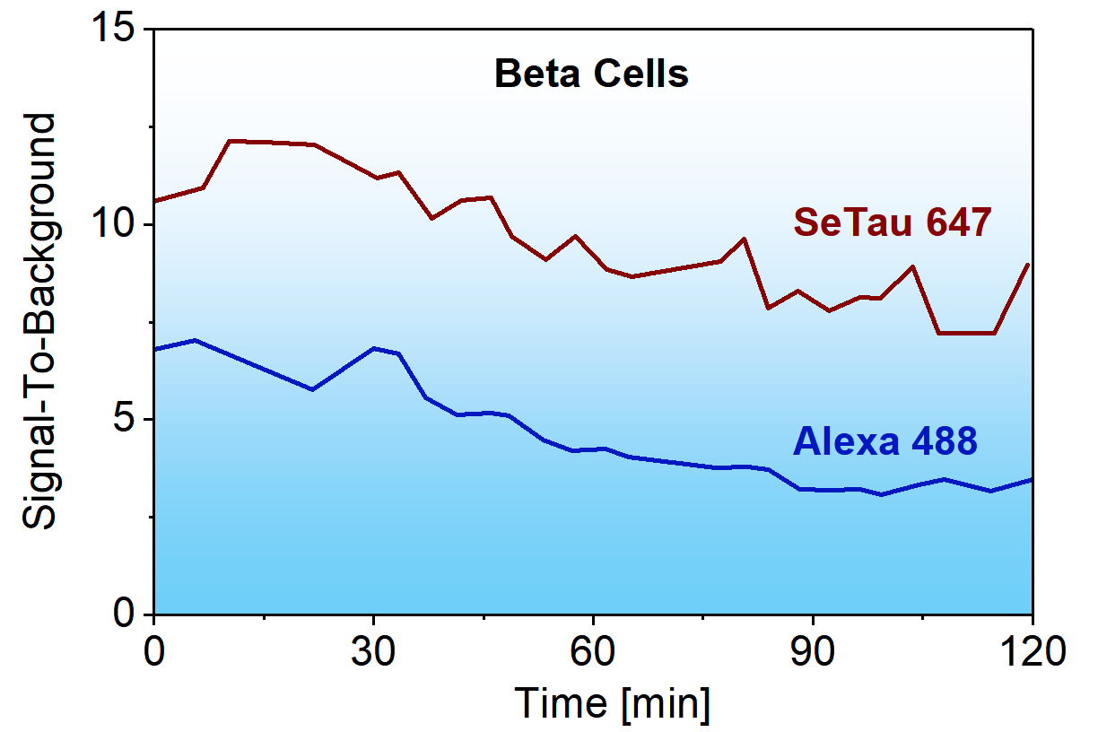 Mouse egg cell stained with Square-635 and Square-460